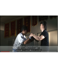  Real Chinese Martial Arts Vol 2- Miyahira Tamotsus 