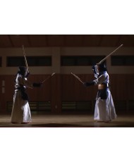 DVD Kendo Nito Nyumon Vol.2 Techniques 