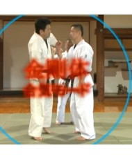 dvd japanese aikido hatamura