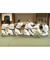 dvd japanese aikido hatamura