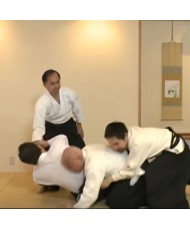 Daito ryu Reijutsu nyumon-OOMIYA SHIRO