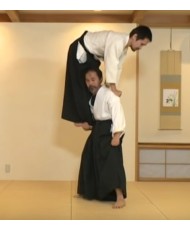 Daito ryu Reijutsu nyumon-OOMIYA SHIRO