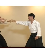 Daito ryu Reijutsu nyumon-OOMIYA SHIRO