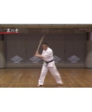  Jo jutsu HIROHARA Makoto