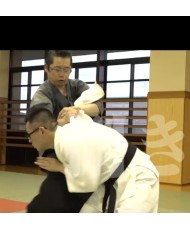 Daitoryu Aikijujutsu Tachi waza jujutsu