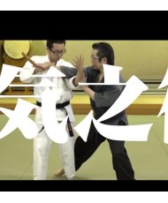 Daitoryu Aikijujutsu Tachi waza jujutsu