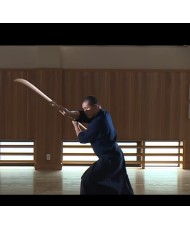 dvd yagyu shinkage ryu naginata 