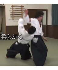 DVD Poursuivons l'Aikido N°1 SIRAKAWA Ryuji