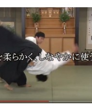 DVD Poursuivons l'Aikido N°1 SIRAKAWA Ryuji