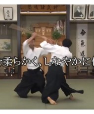 DVD Poursuivons l'Aikido N°1 SIRAKAWA Ryuji