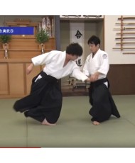 DVD Poursuivons l'Aikido N°2 SIRAKAWA Ryuji