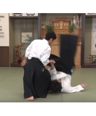 DVD Poursuivons l'Aikido N°2 SIRAKAWA Ryuji