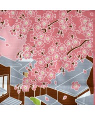 KOBUROSHIKI TAMA with cherry blossoms