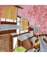 KOBUROSHIKI TAMA with cherry blossoms