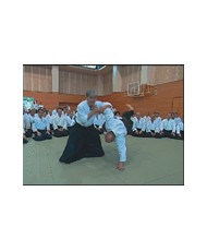 International Aikido congress 2008 - Yoshimitsu Yamada﻿