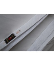 white belt aikido