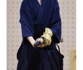 Iaido