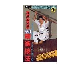 Okinawa shorin ryu